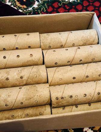 Термитті гарантия кетірнді