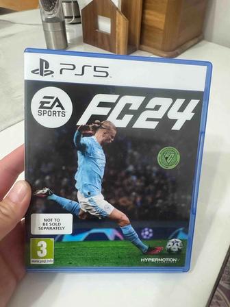 Fifa 24