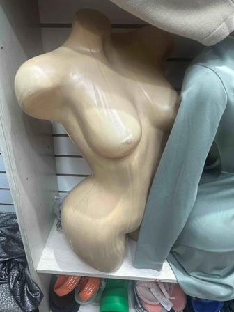 Торсы женские