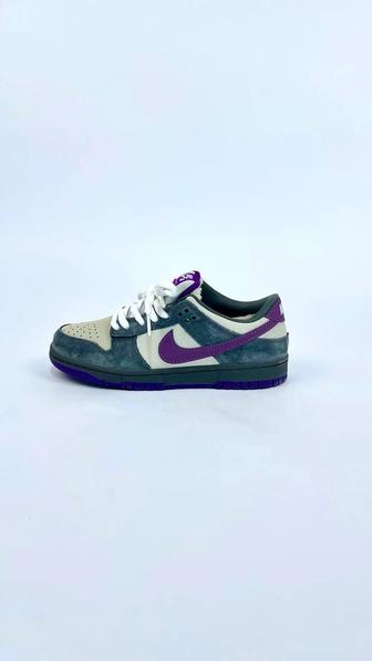 Кроссовки осенние и зимние NIKE SB DANK