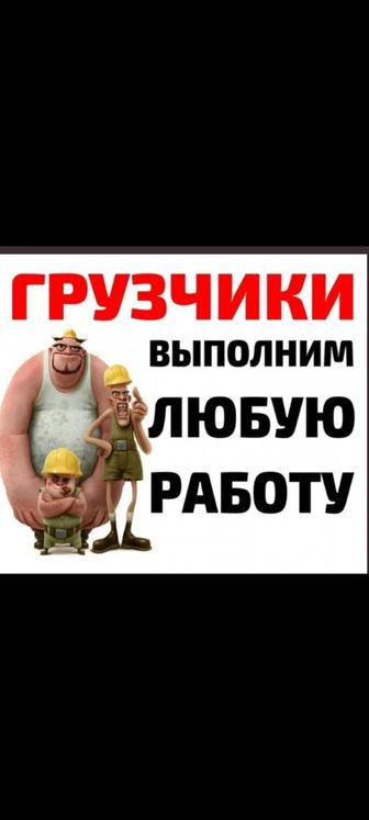Опытные Грузчики