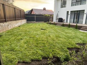 Посев, укладка газона