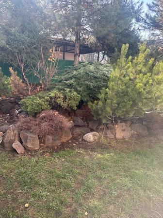 Продам Альпийскую горку