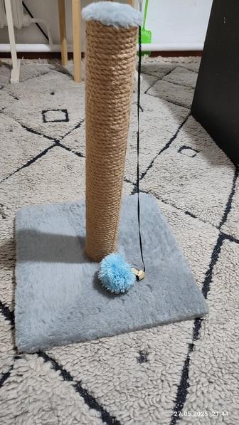 Когтеточка для кошек и котят