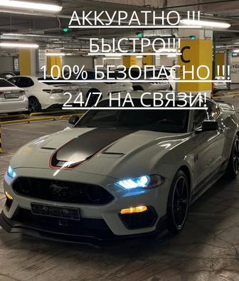 Трезвый водитель