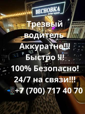 Трезвый водитель