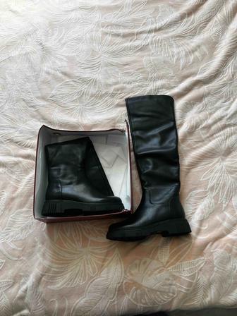 сапоги