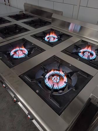 Ремонт плит и духовок. Газовщик.