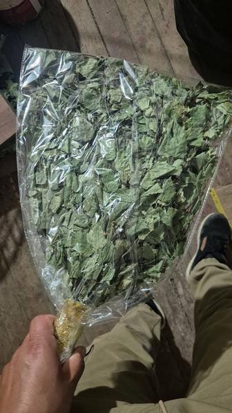 Березовый веник оптом рознитца