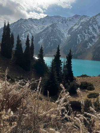 Услуги по видеомонтажу Reels, видеоролики для рекламы и личного архива