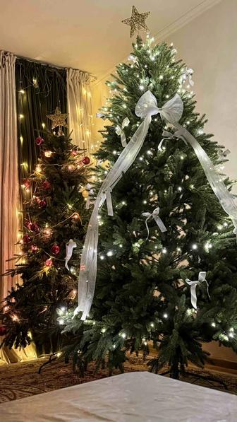 Королевская елка