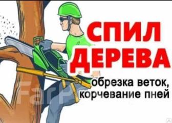 Спил деревьев ,обрезка деревьев