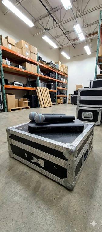 Рюадиосистема Shure BLX288/Beta58