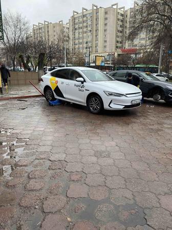 Аренда авто BYD Qin plus