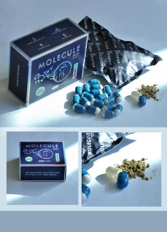 molecule premium молекула плюс