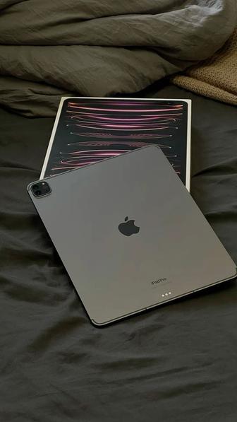 iPad Pro 2022