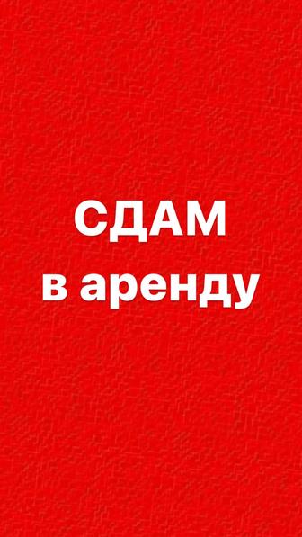 Сдам в аренду