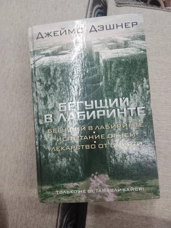 Книга Бегущий в лабиринте