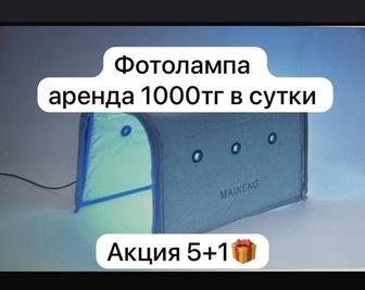 аренда фотолампы