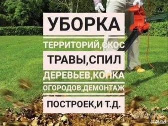 Услуги грузчиков сборщиков и газелей