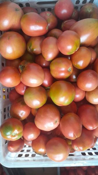 Продам домашние помидоры.