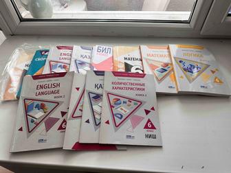 Книги для поступления в НИШ