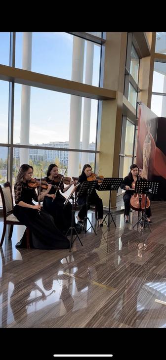 Живая музыка. Струнный квартет. Свадьба. Мероприятия. Той. Музыканты