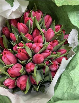 Продам тюльпаны к 8 марта с оформлением