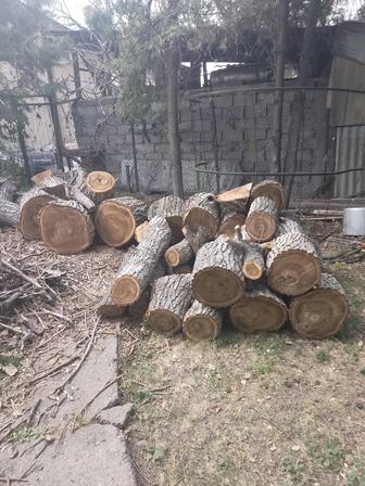 Дрова орех лучше саксаула