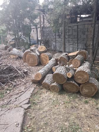 Дрова орех лучше саксаула