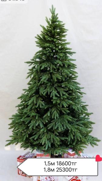 Продам елки по оптовой цене