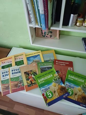 Книги школьные зс 5й класс