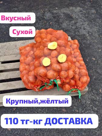 Картофель едовой