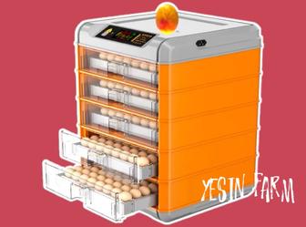 Инкубатор для быстрого старта птицеводства