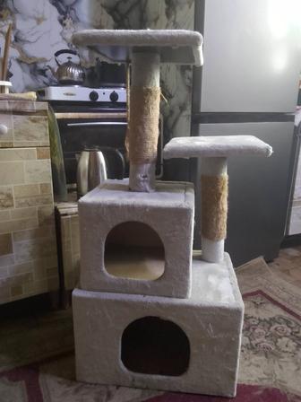 Домик для котов