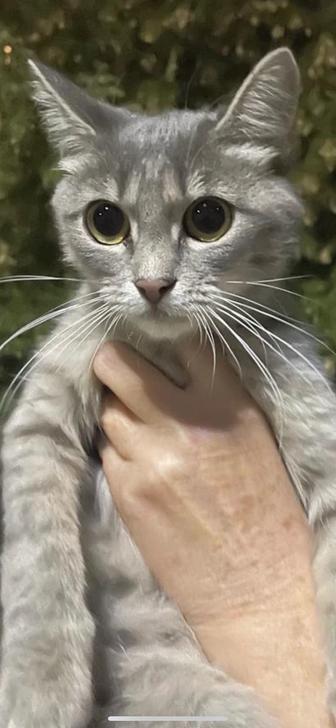 Ласковая девочка
