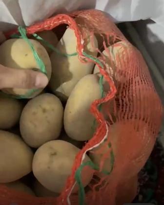 Нарынкольская картошка отборная, крупная
