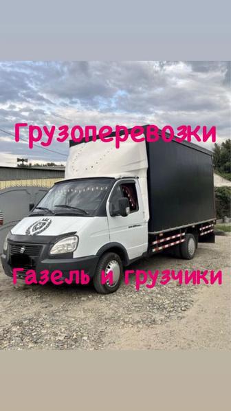 Газел по городу