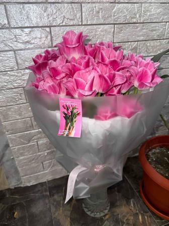 51 тюльпан , обращаться по номеру