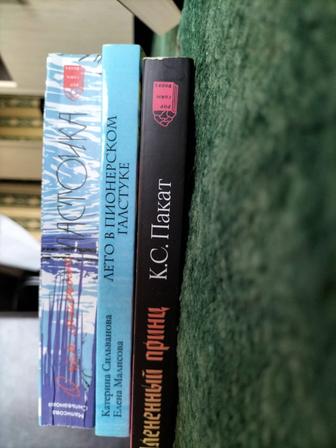 Плененный принц, Лето в пионерском галстуке, О чем молчат ласточки
