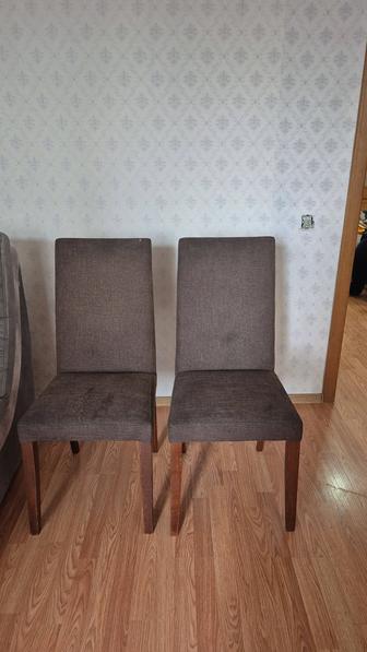 Продам стулья