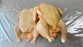 Куры, домашний бройлер.