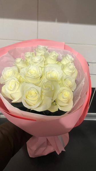 срочно продам свежий цветы