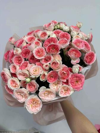 Продам кустовые розы