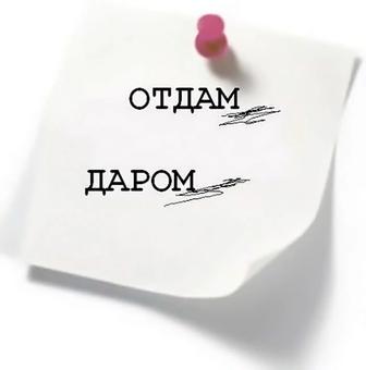 Зимний комбинезон, брюки, кофты, шорты, футболки