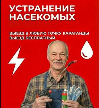 Устранение тараканов, клопов, муравьев. Обработка квартир. Частник.