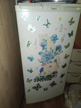 Холодильник Бирюса