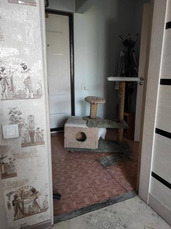 Продам когтеточку