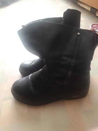 Продам женские сапоги.