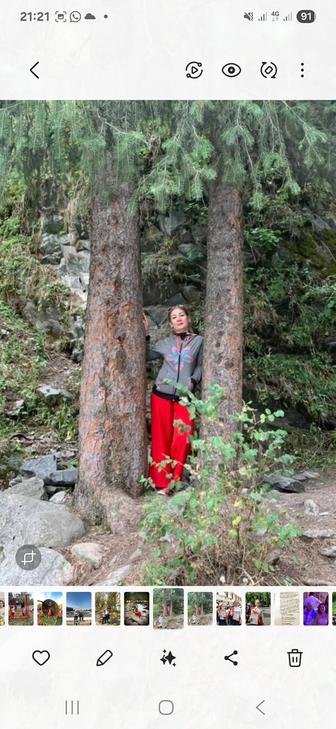 Репетитор начальных классов